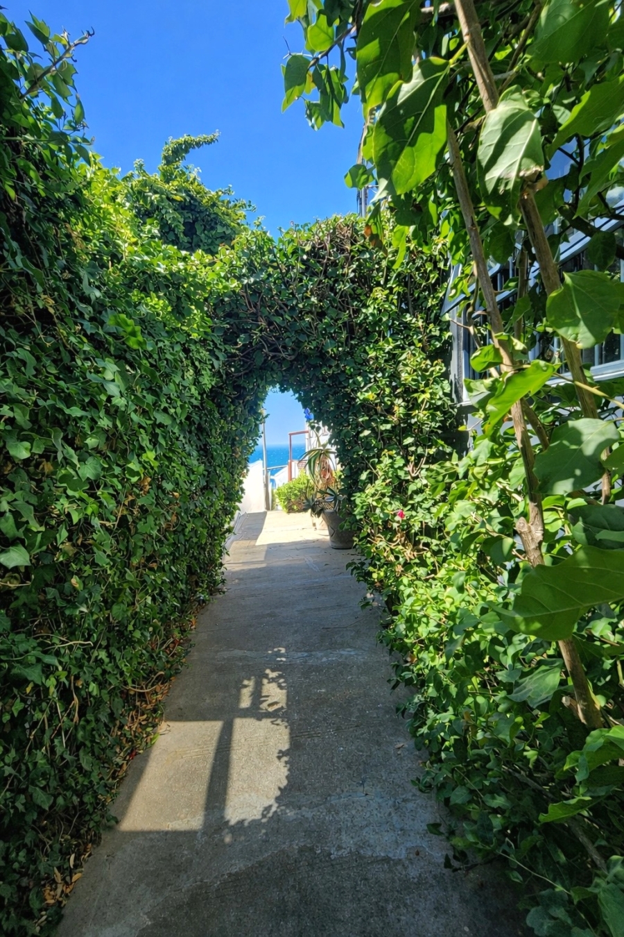 1 Bedroom Property for Sale in Simons Town Western Cape